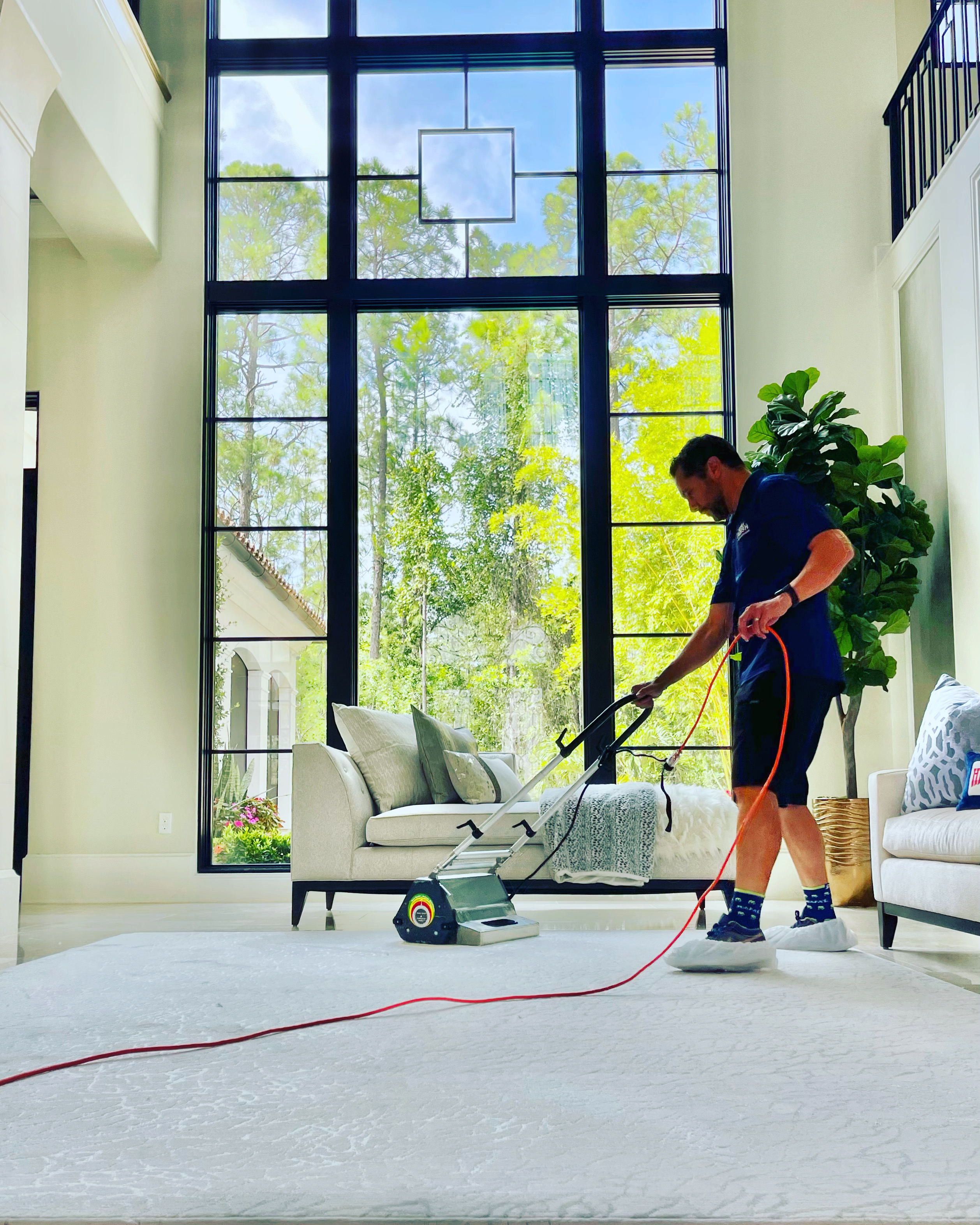 Carpet cleaning results